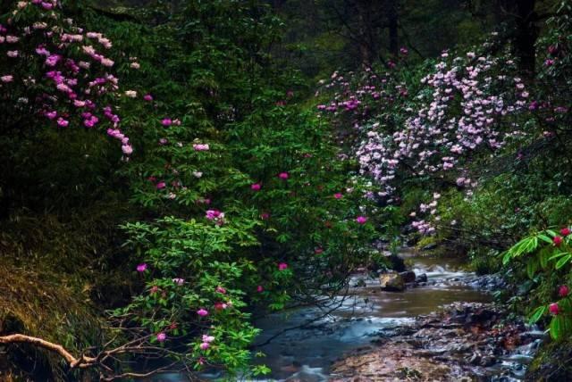探索风水,讲究山水动静之变化,山本静水本动,动静结合阴阳转换,发现无限精彩!